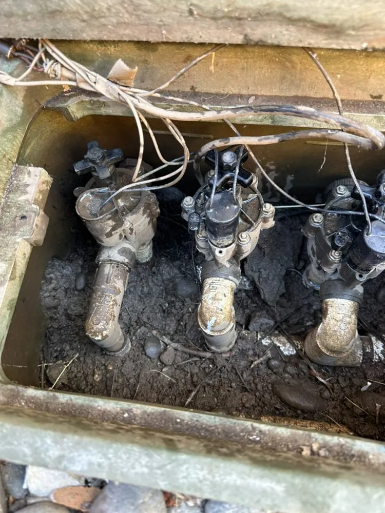 Local landscaping services experts serving San Jose, CA - Arvizu Leaks Landscaping