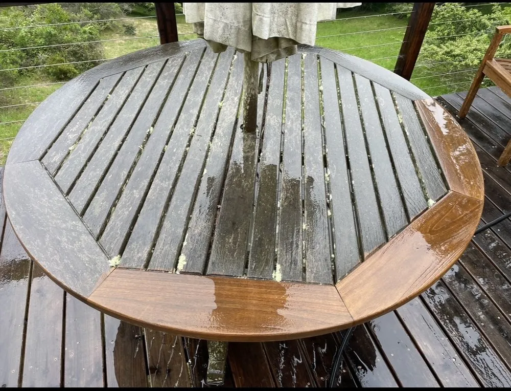 Local landscaping services experts serving San Rafael, CA - Arvizus Landscaping