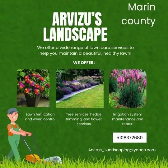 Professional yard cleanup service near you across San Rafael, CA - Arvizus Landscaping