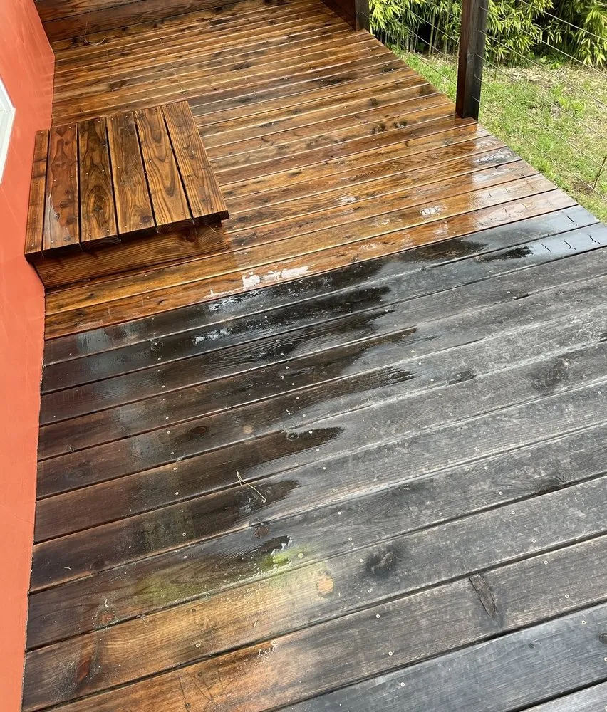 Local yard cleanup service in San Rafael, CA by Arvizus Landscaping