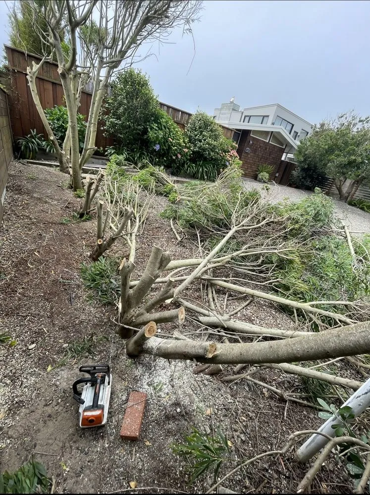 Reliable yard maintenance with custom design across San Rafael, CA - Arvizus Landscaping