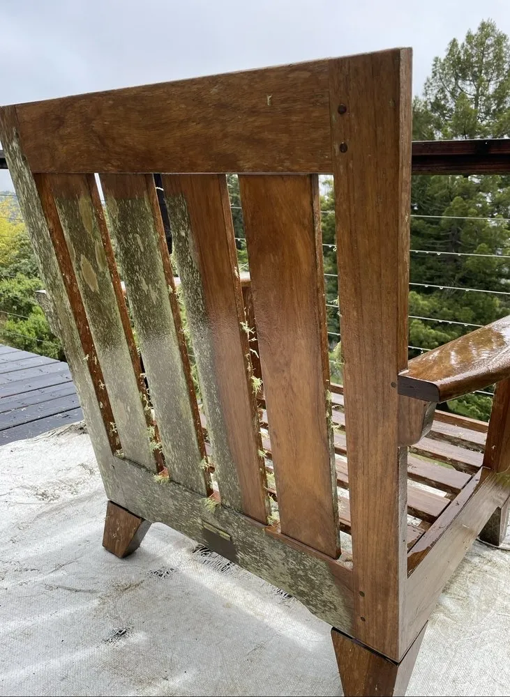 Expert lawn care service in San Rafael, CA by Arvizus Landscaping