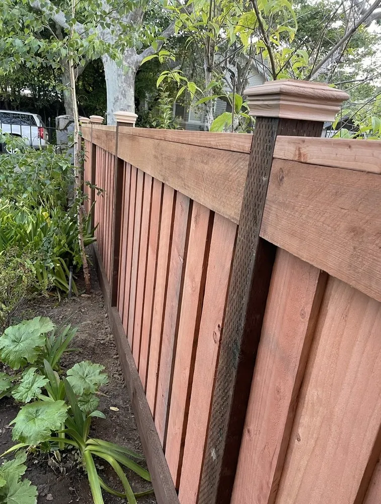 Custom landscaping services in San Rafael, CA by Arvizus Landscaping