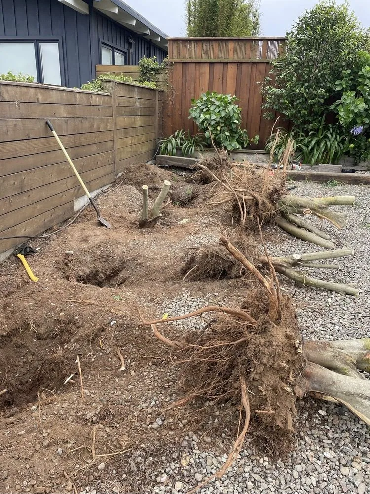 Custom landscaping services for residential properties across San Rafael, CA - Arvizus Landscaping