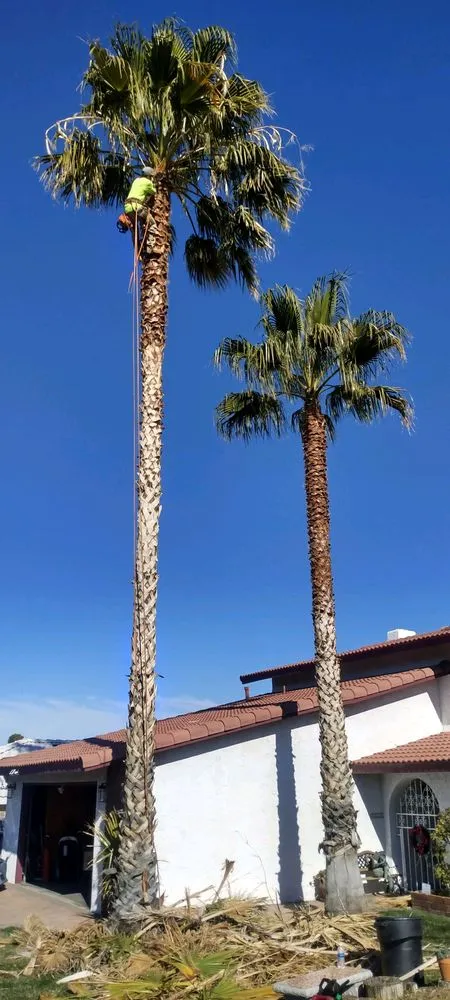 Custom landscape design experts serving Victorville, CA - Arw Landscape & Design