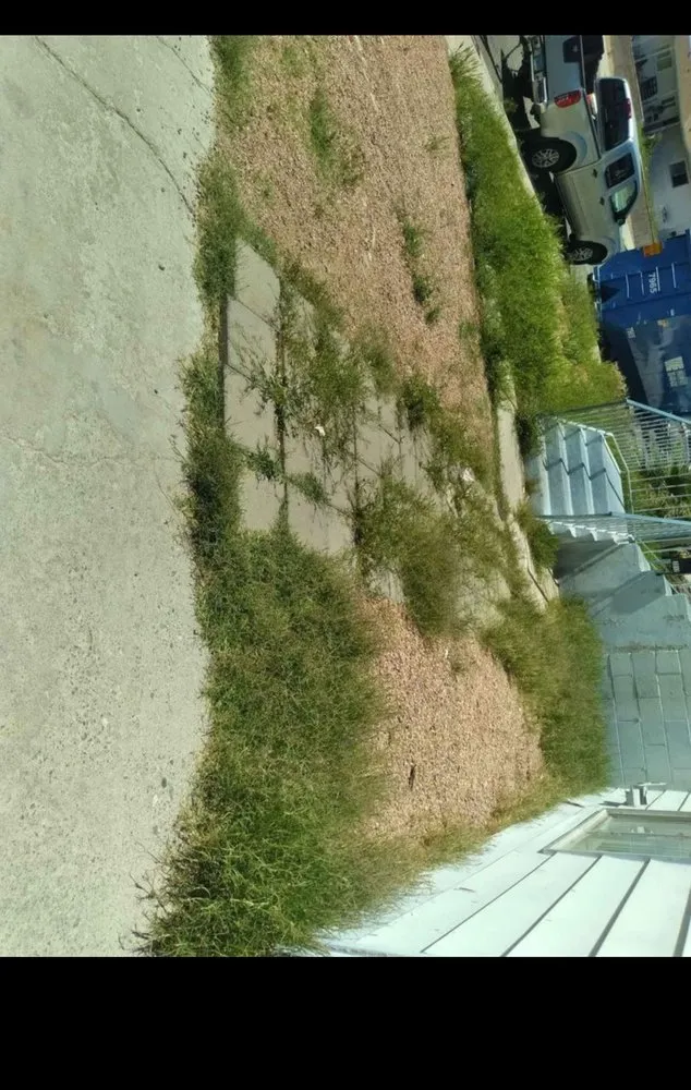 Local outdoor landscaping for homes in Victorville, CA by Arw Landscape & Design