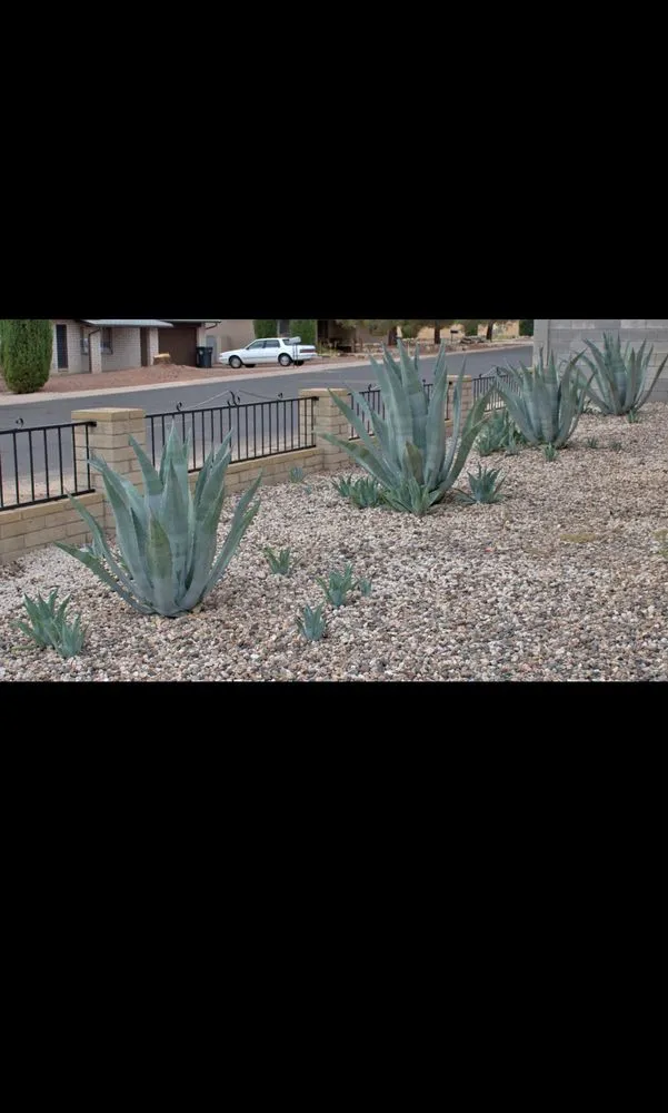 Affordable lawn care service experts serving Victorville, CA - Arw Landscape & Design