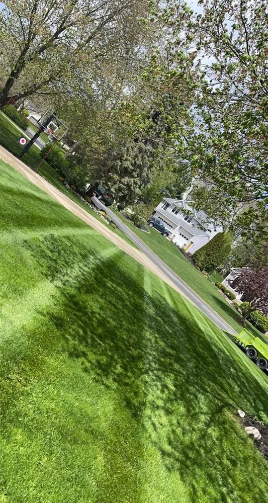 Reliable landscape installation near you across Belmont, MI - Ary Lawn Care