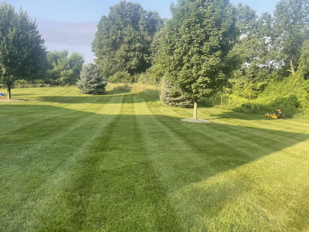 Custom lawn care service for homes in Belmont, MI by Ary Lawn Care