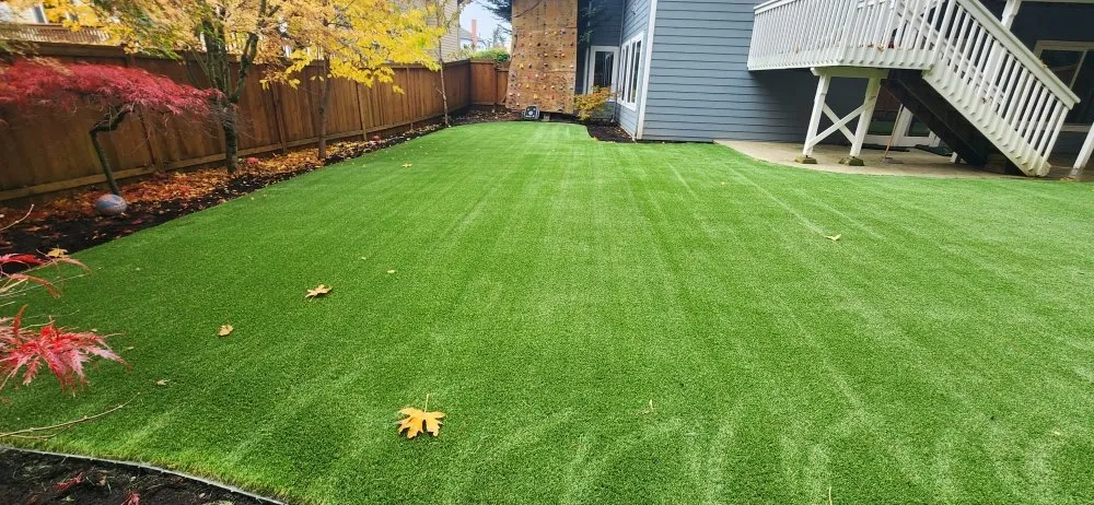 Expert lawn care service in Seattle, WA by Arya Landscape Construction