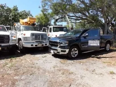 Affordable yard cleanup service experts serving Fort Myers, FL - Ary's Tree Service & Lawn Care