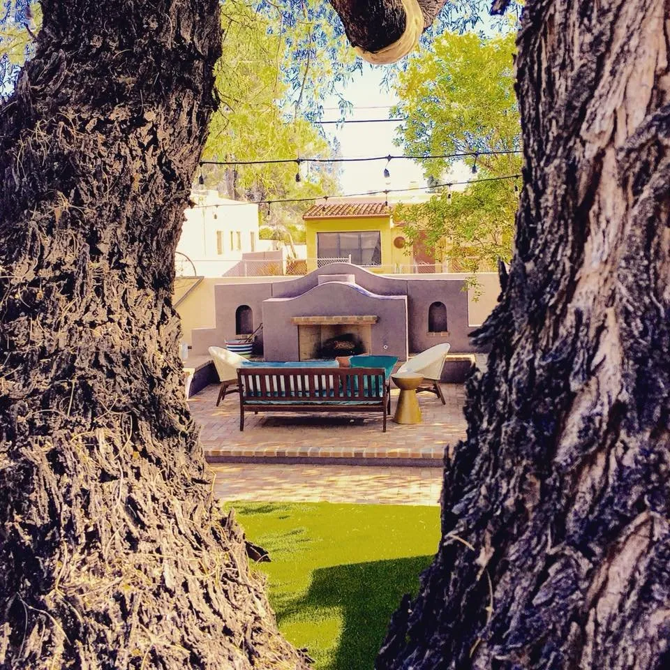 Local yard cleanup service experts serving Tucson, AZ - Arzate Design Group | Swimming Pool Design Tucson AZ