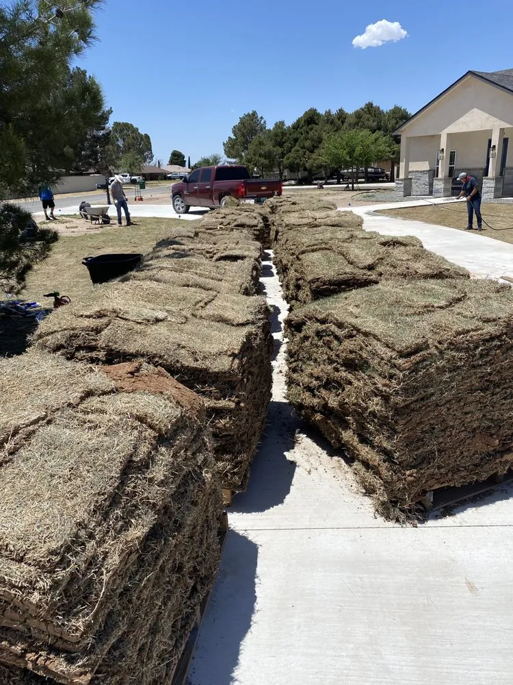 Local yard maintenance near you in Hobbs, NM by Arzis Lawn Care