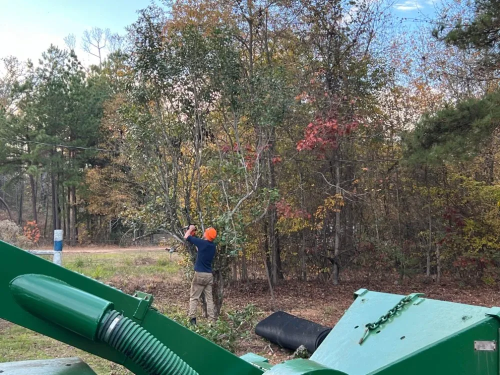 Expert lawn care service in Brownsboro, TX by AS & G Contractors