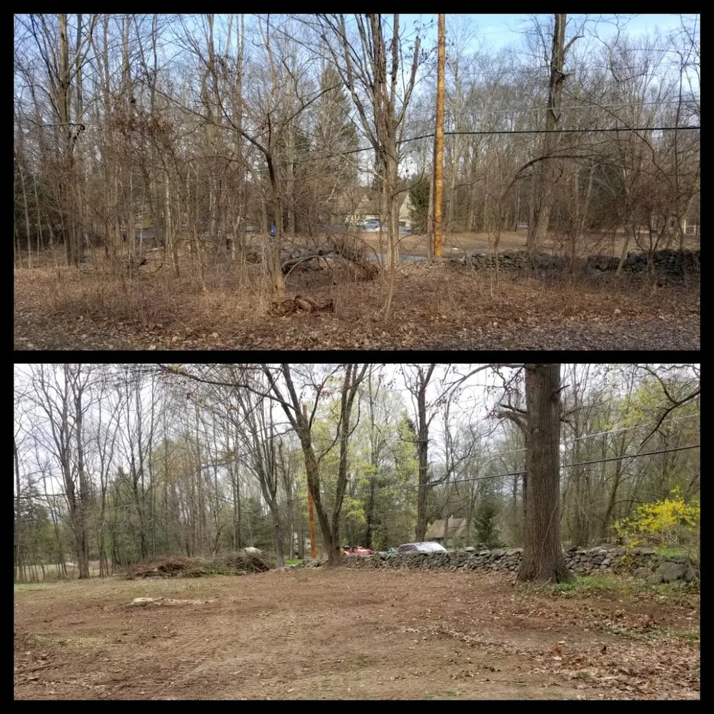 Reliable yard cleanup service in Lake Katrine, NY - A&S All Seasonal Lawn Care