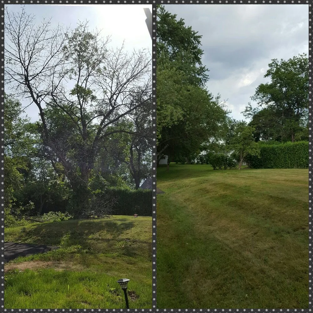 Affordable landscape design for residential properties across Lake Katrine, NY - A&S All Seasonal Lawn Care