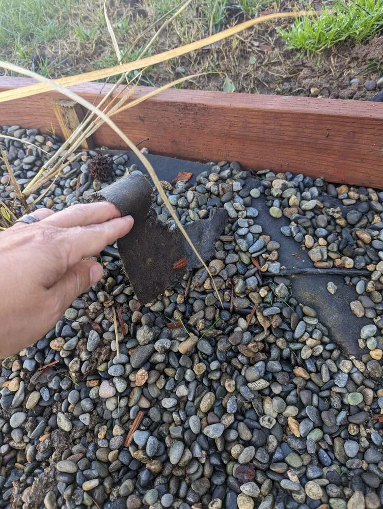 Local landscaping services for outdoor upgrades across Temecula, CA - A's Arbor Care & Landscape