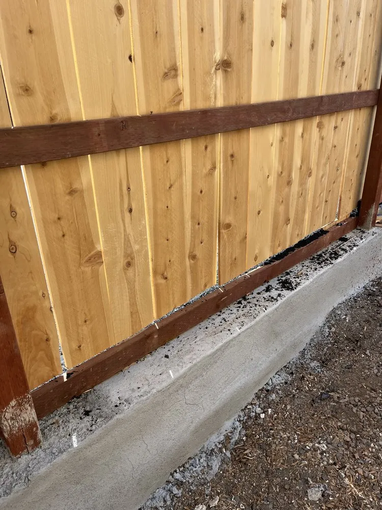 Reliable yard cleanup service in Temecula, CA - A's Arbor Care & Landscape