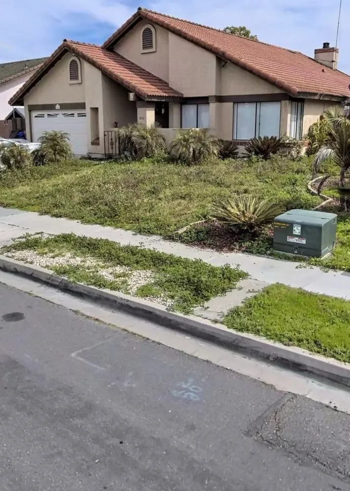 Affordable landscape installation experts serving Temecula, CA - A's Arbor Care & Landscape