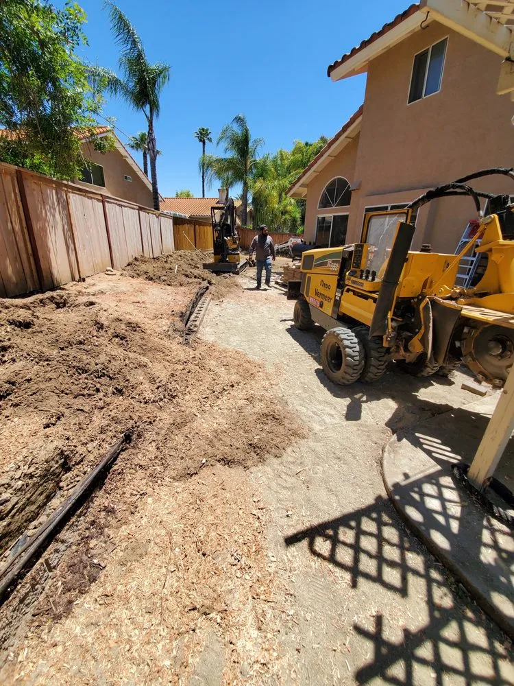 Local yard maintenance experts serving Carlsbad, CA - A's Arbor Care