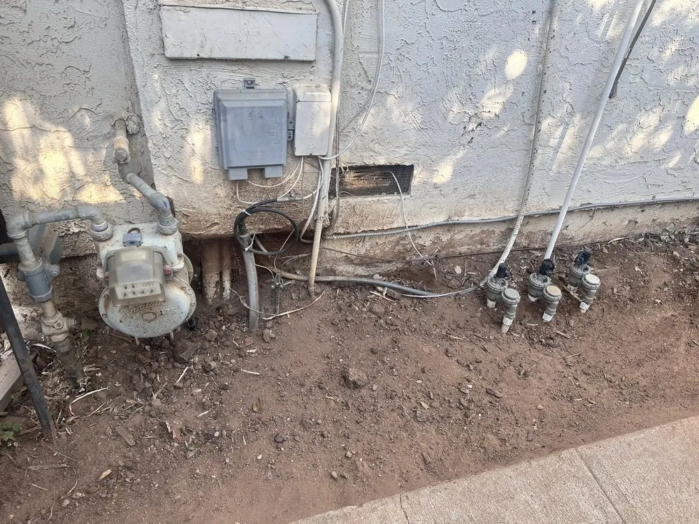 Local garden landscaping in Carlsbad, CA - A's Arbor Care