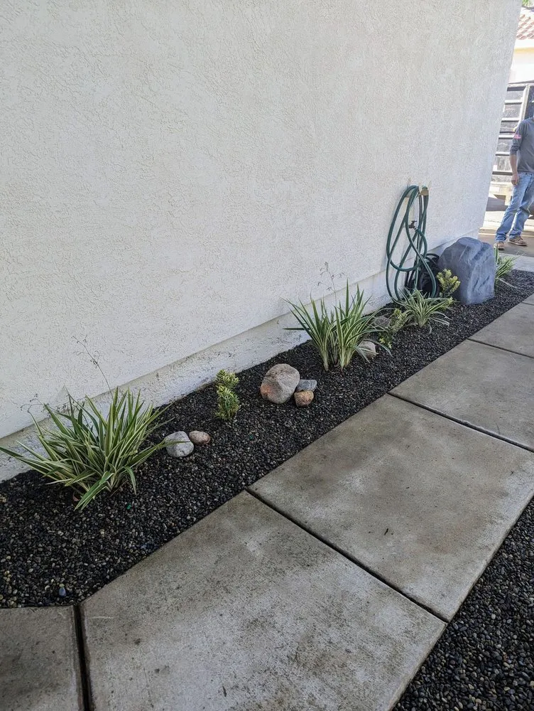 Trusted residential landscaping experts serving Carlsbad, CA - A's Arbor Care
