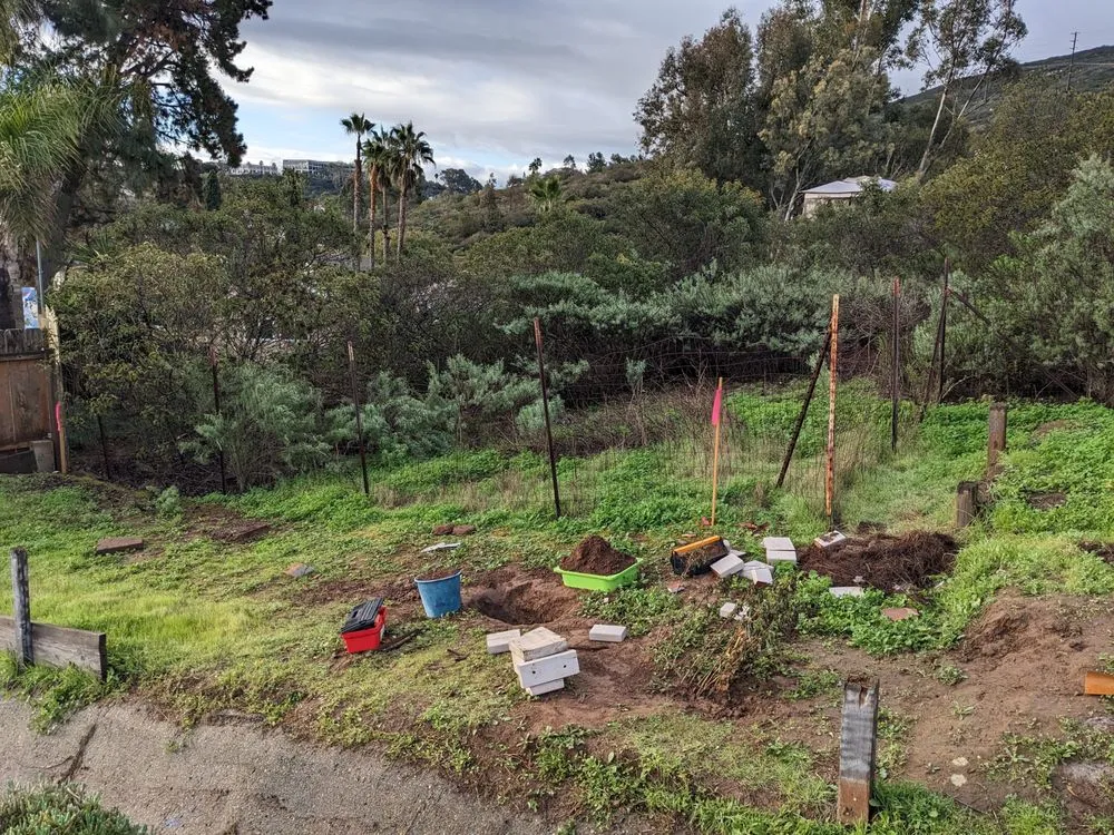 Affordable outdoor landscaping in Carlsbad, CA by A's Arbor Care