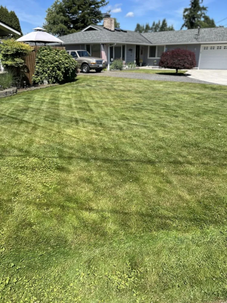 Professional landscape design experts serving Everett, WA - A’s Excavation and Landscaping