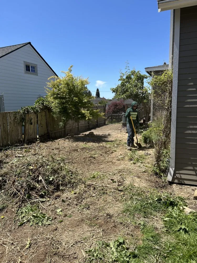 Affordable lawn care service for homes across Everett, WA - A’s Excavation and Landscaping