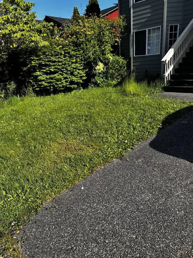 Reliable outdoor landscaping for beautiful yards across Everett, WA - A’s Excavation and Landscaping