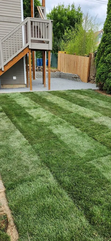 Trusted yard cleanup service in Everett, WA by A’s Excavation and Landscaping