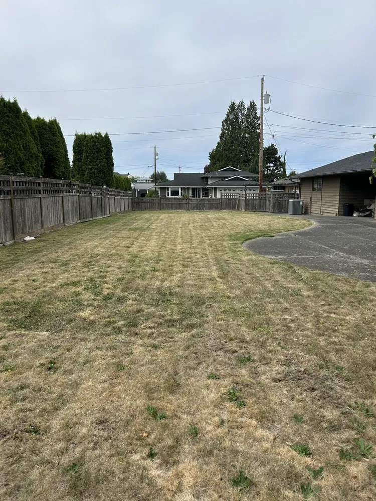 Professional yard cleanup service for homes in Everett, WA by A’s Excavation and Landscaping