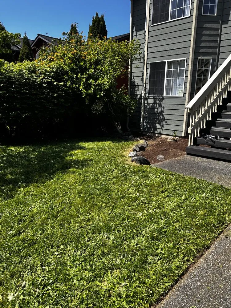 Top-rated outdoor landscaping in Everett, WA - A’s Excavation and Landscaping