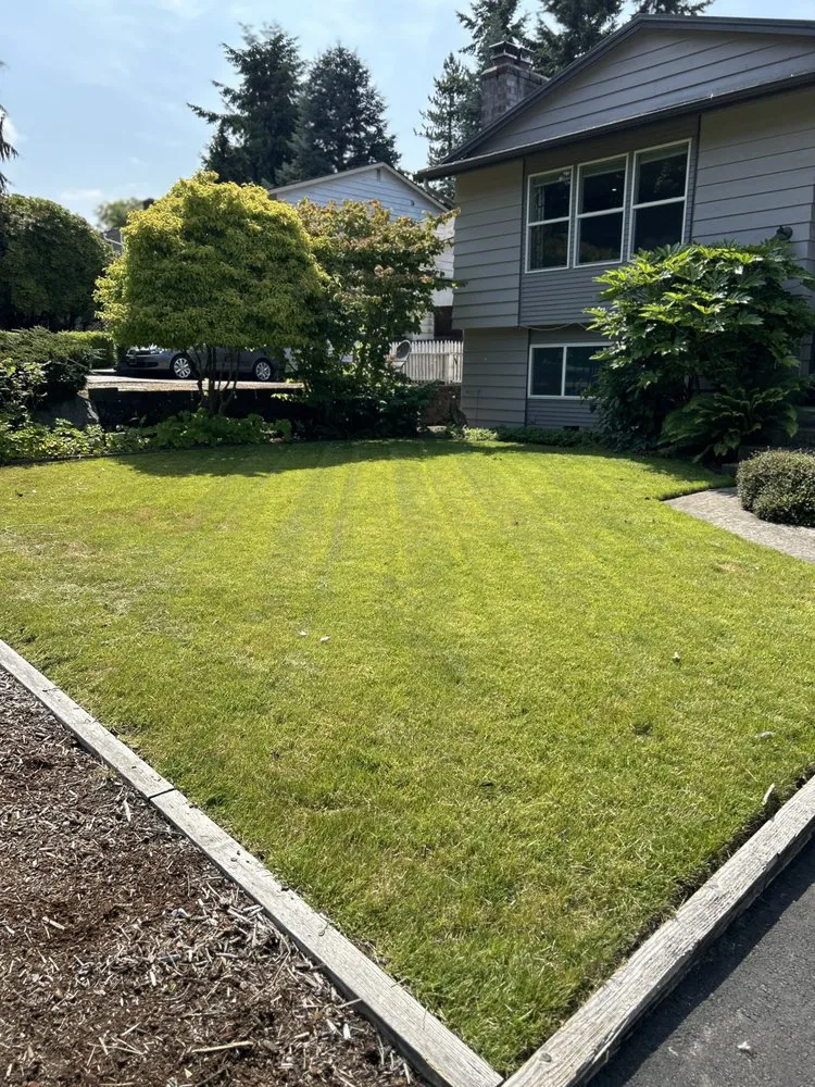 Trusted outdoor landscaping in Everett, WA - A’s Excavation and Landscaping