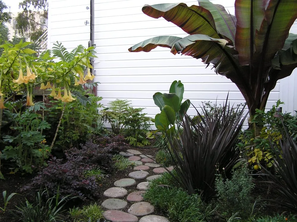 Expert garden landscaping near you across Berkeley, CA - As Good As Gold Landscaping