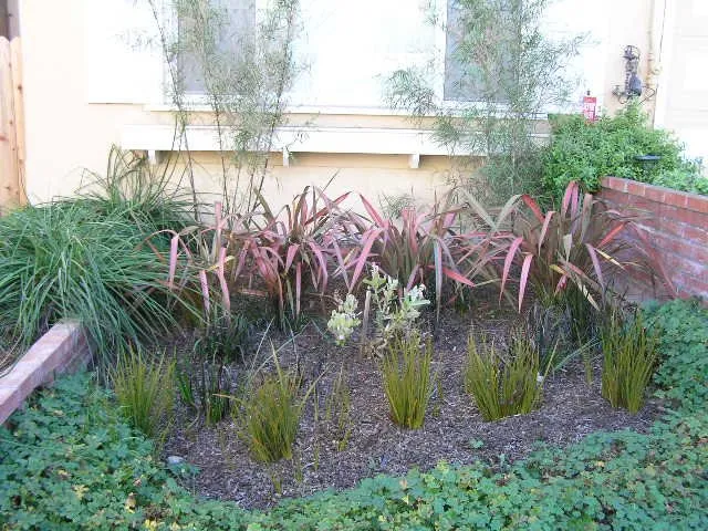 Custom yard cleanup service for homes in Berkeley, CA by As Good As Gold Landscaping