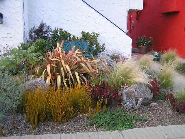 Professional yard cleanup service in Berkeley, CA by As Good As Gold Landscaping