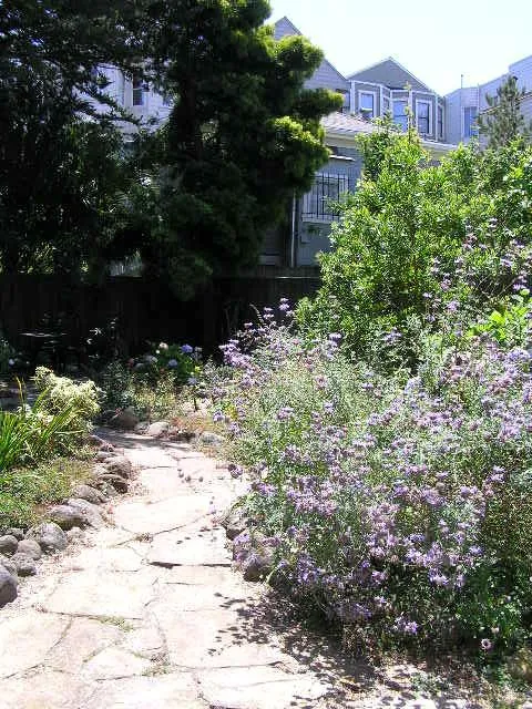Trusted landscape design in Berkeley, CA - As Good As Gold Landscaping