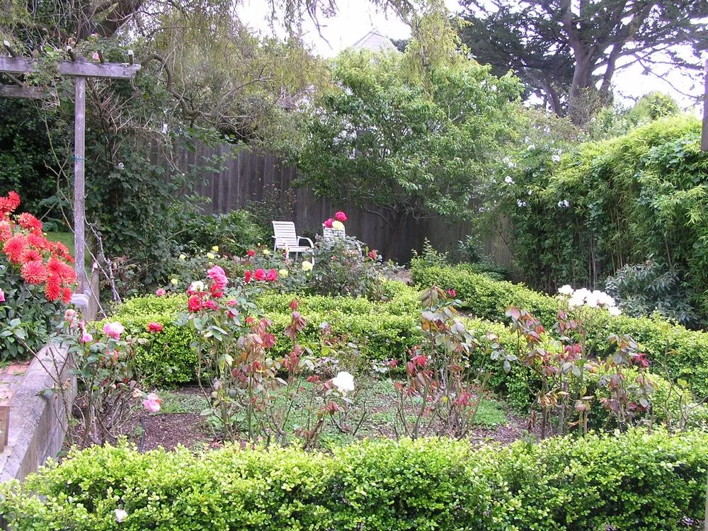 Affordable landscape installation in Berkeley, CA by As Good As Gold Landscaping