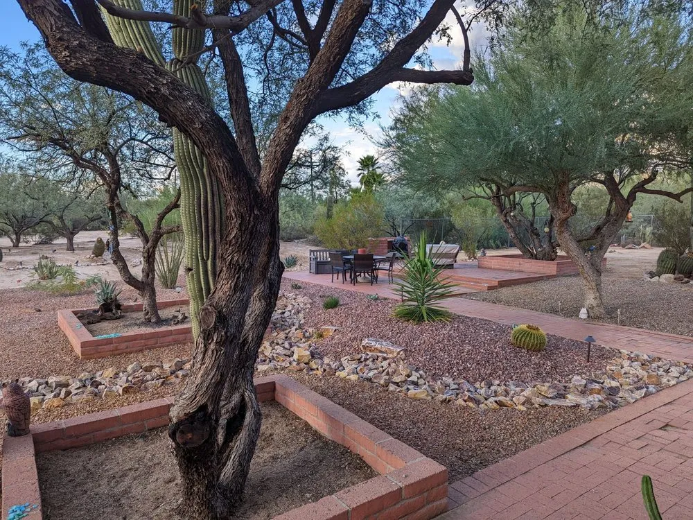 Custom lawn care service in Tucson, AZ - A&S Irrigation And Landscaping