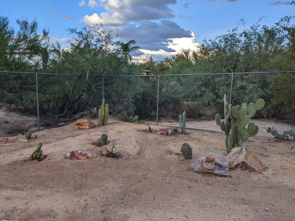 Affordable lawn mowing service experts serving Tucson, AZ - A&S Irrigation And Landscaping