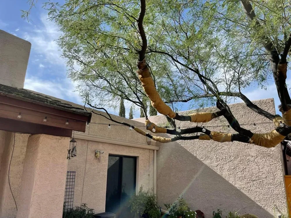 Expert lawn mowing service for homes in Tucson, AZ by A&S Irrigation And Landscaping