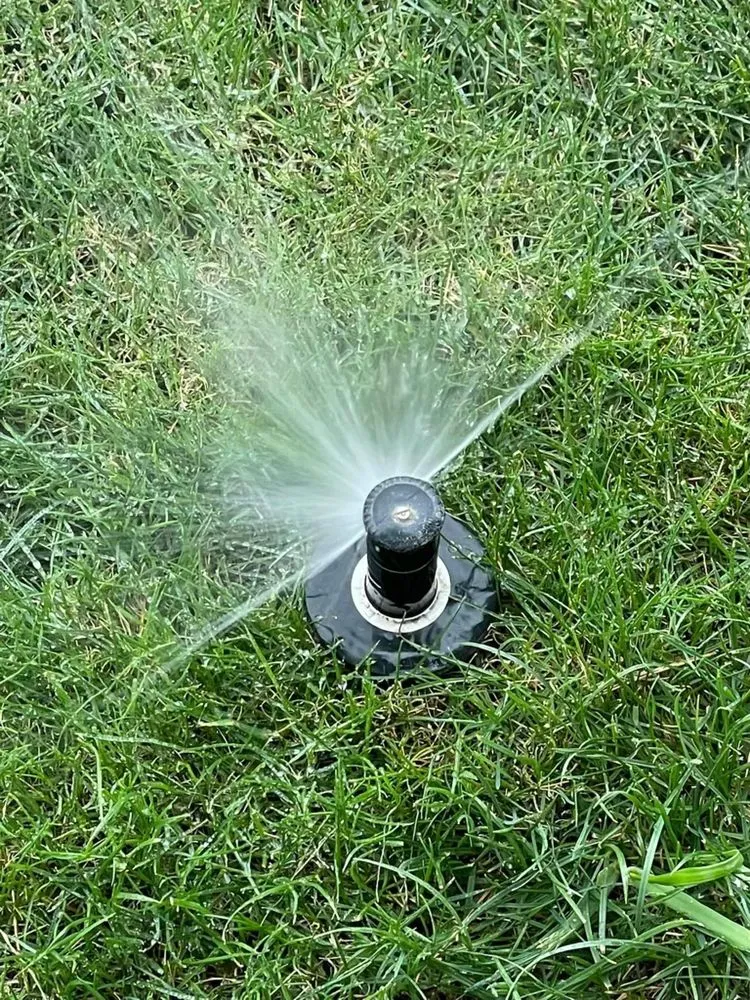 Affordable residential landscaping experts serving Tucson, AZ - A&S Irrigation And Landscaping