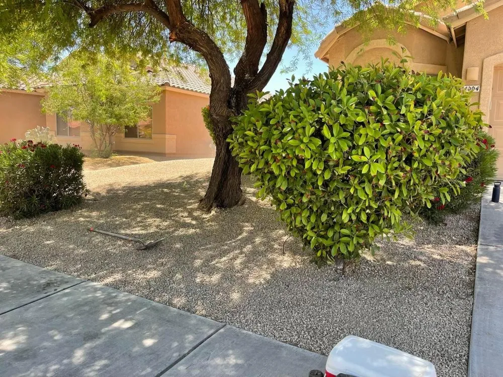 Trusted landscaping services experts serving Tucson, AZ - A&S Irrigation And Landscaping