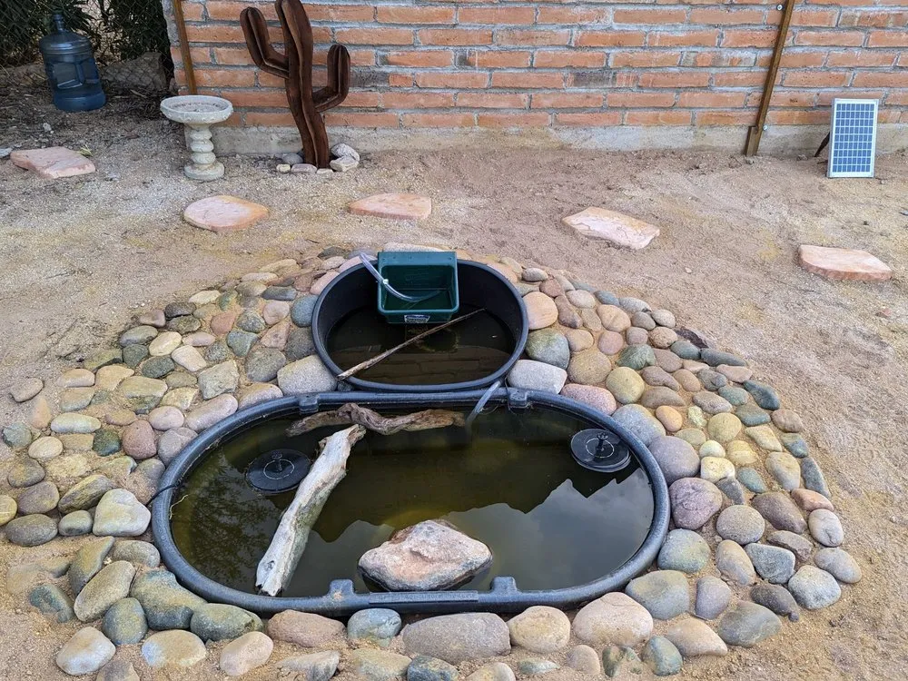 Professional yard maintenance in Tucson, AZ by A&S Irrigation And Landscaping