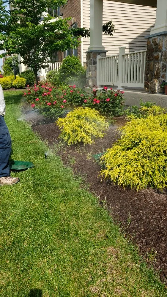 Top-rated landscape installation for year-round maintenance across Sterling, VA - A's Irrigation System