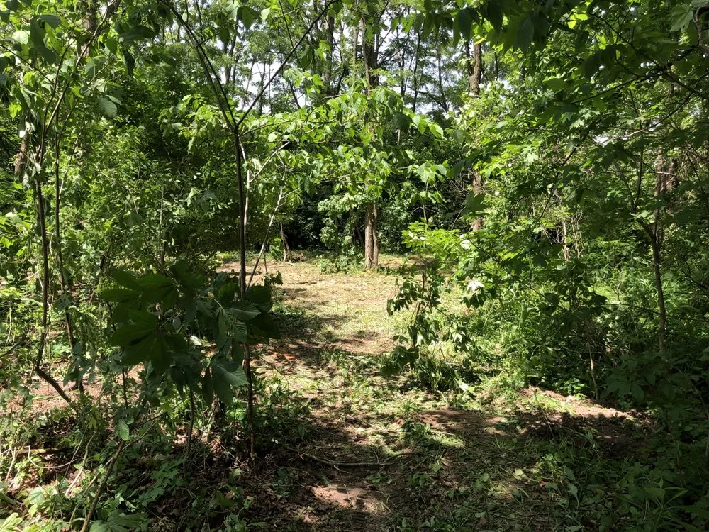 Professional lawn mowing service for year-round maintenance in Crawfordsville, IN by AS It Grows