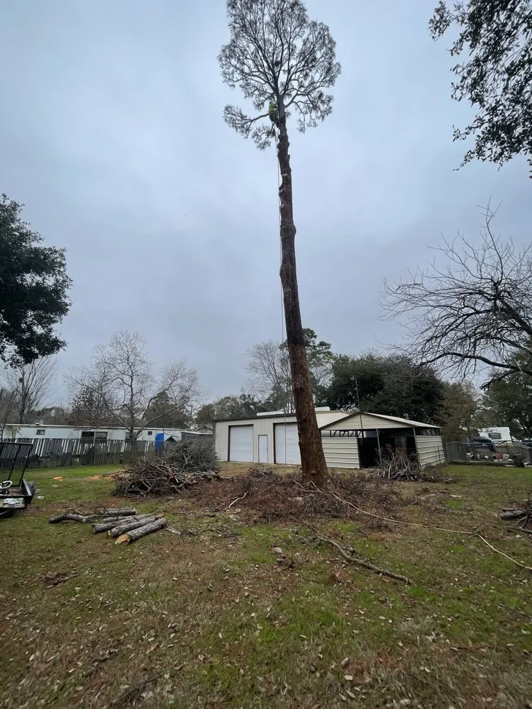 Reliable lawn care service experts serving Houston, TX - A’s Landscape & Tree Service