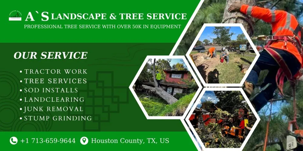 Affordable landscaping services experts serving Houston, TX - A’s Landscape & Tree Service