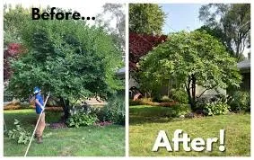 Expert landscaping services for beautiful yards in Burlington, WI by A&S Landscape